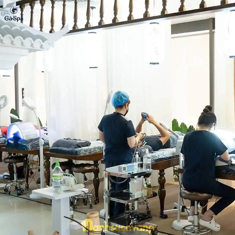 Hình ảnh Gà Spa cn Quận 10: 200 Đường 3 Tháng 2, Quận 10