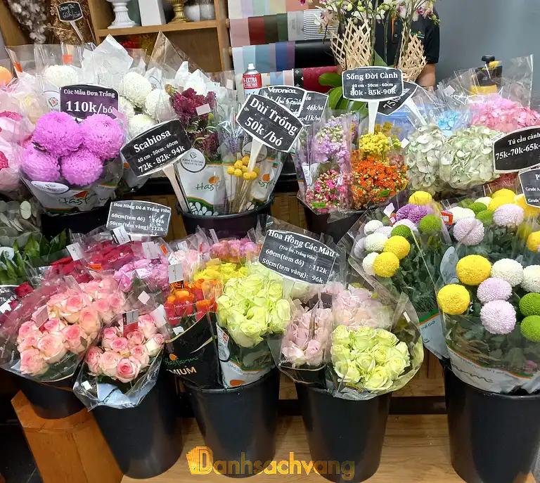 Hình ảnh dalat-hasfarm-hau-giang-quan-6-tphcm-1