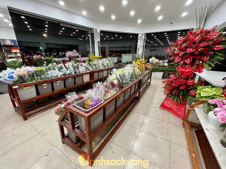 Hình ảnh hoa-yeu-thuong-230b-vo-thi-sau-q-3-tphcm-3
