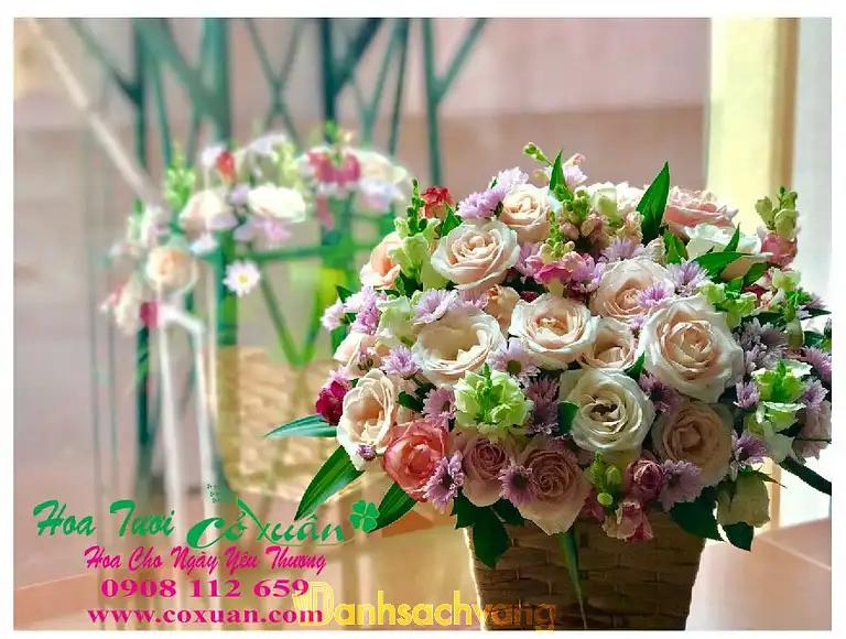 Hình ảnh hoa-tuoi-co-xuan-0