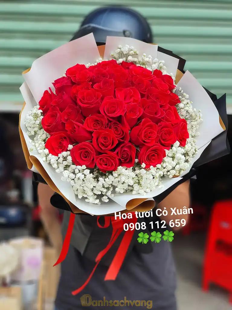 Hình ảnh hoa-tuoi-co-xuan-3