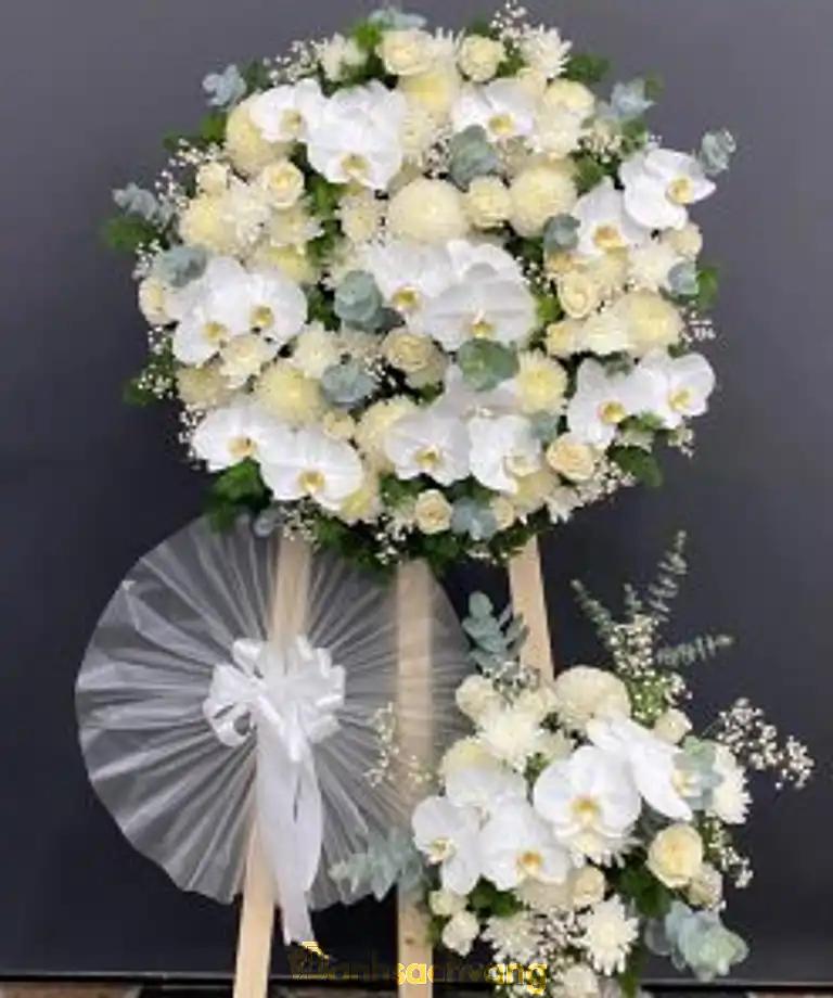 Hình ảnh dien-hoa-sai-gon-sun-flowers-4