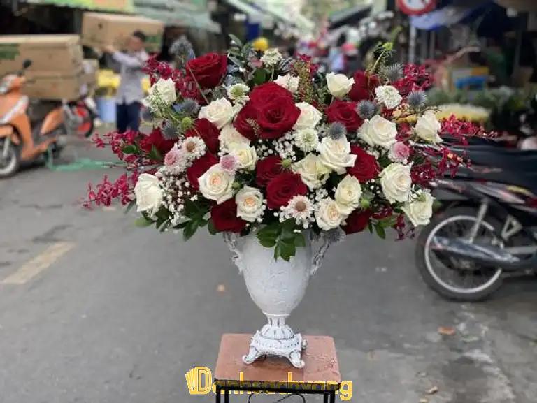 Hình ảnh dien-hoa-sai-gon-sun-flowers-5