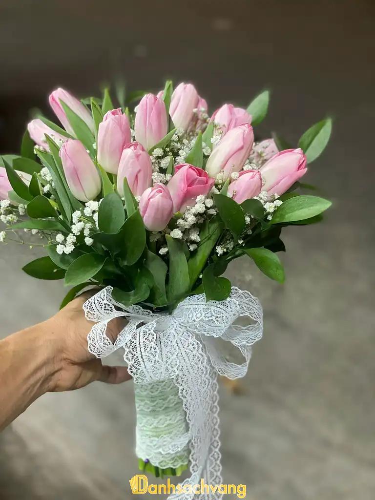 Hình ảnh dien-hoa-sai-gon-sun-flowers-2