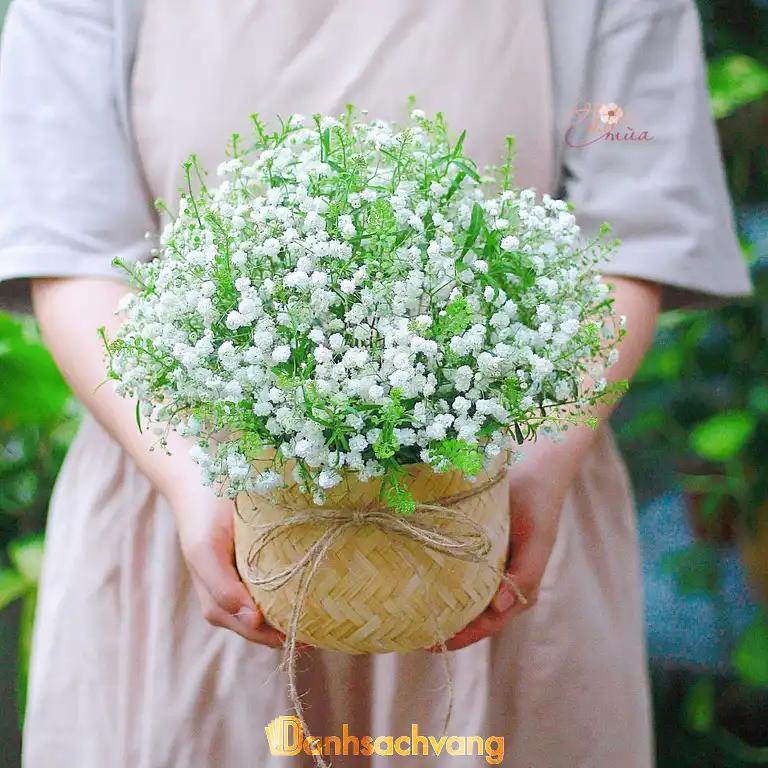 Hình ảnh hoa-theo-mua-dao-duy-anh-q-phu-nhuan-tphcm-2