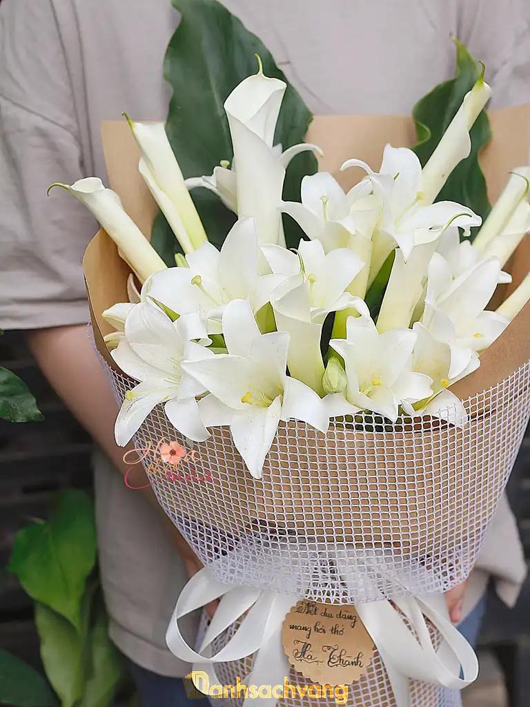 Hình ảnh hoa-theo-mua-dao-duy-anh-q-phu-nhuan-tphcm-4