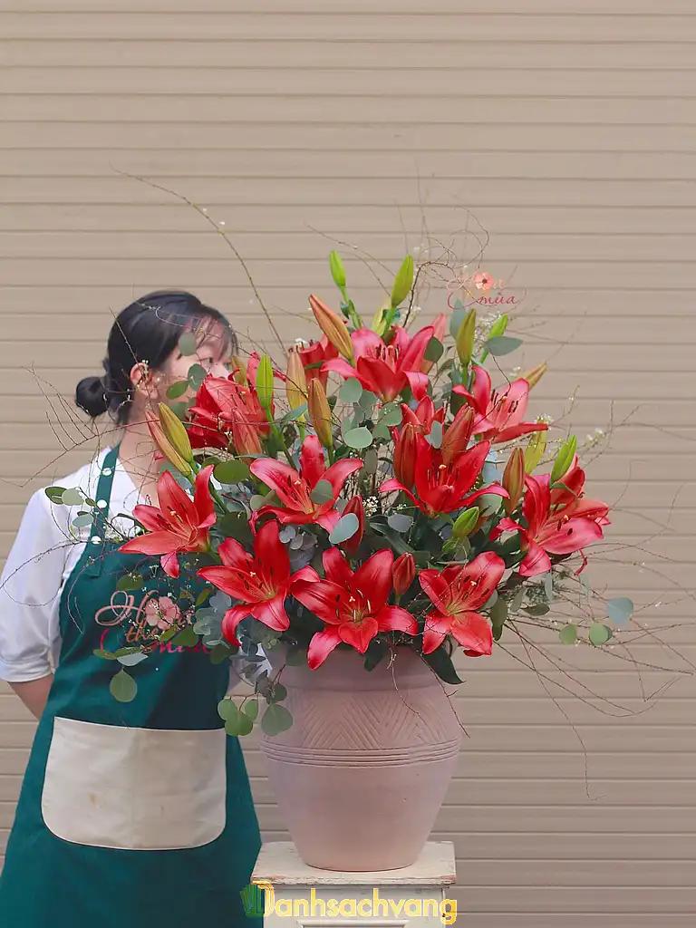 Hình ảnh hoa-theo-mua-dao-duy-anh-q-phu-nhuan-tphcm-3