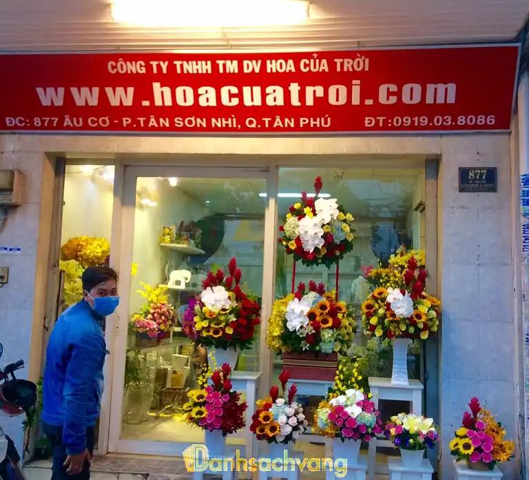 Hình ảnh shop-hoa-tuoi-quan-tan-phu-hoa-cua-troi-1