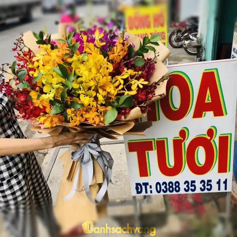 Hình ảnh hoa-tuoi-ngoc-diep-0