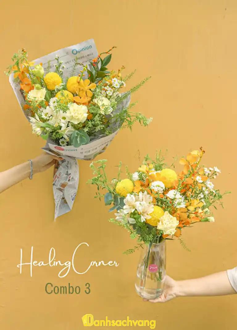 Hình ảnh jan-flower-2