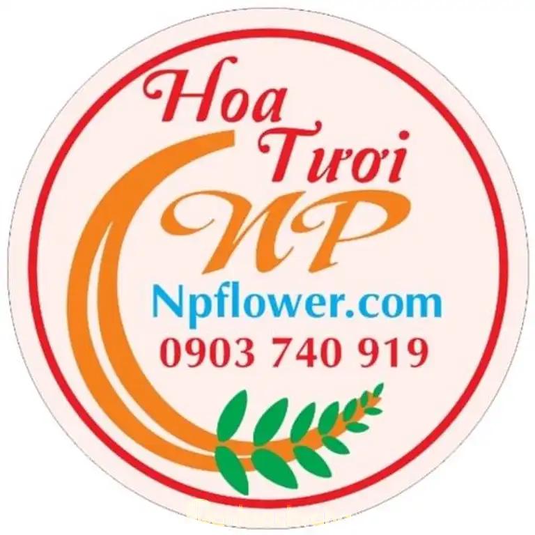 Hình ảnh hoa-tuoi-nha-phuong-0