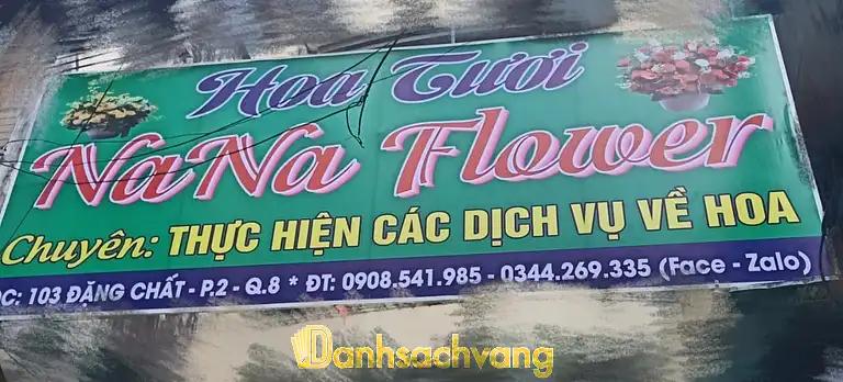 Hình ảnh nana-flower-0