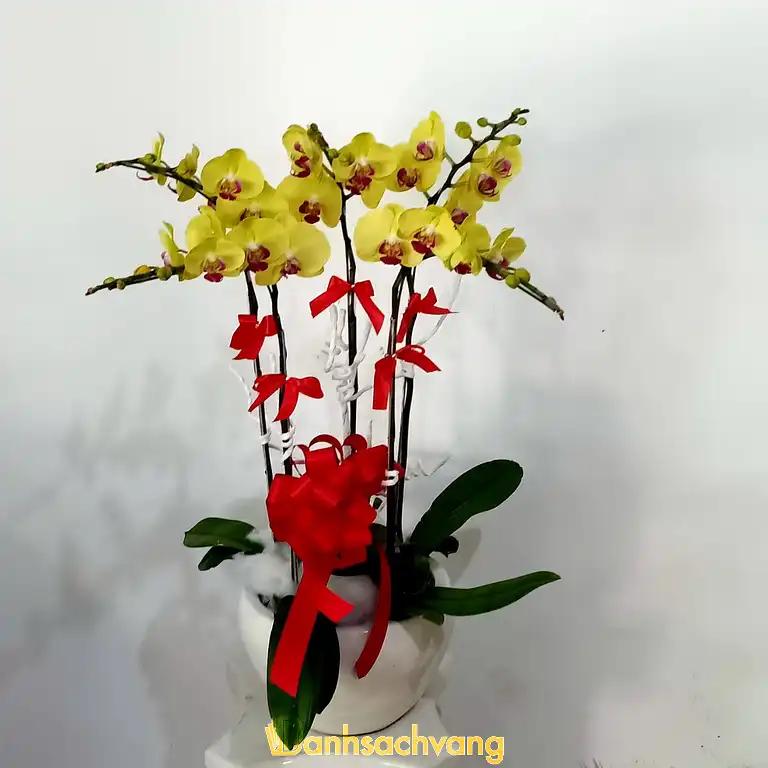 Hình ảnh hoa-tuoi-tuan-linh-0