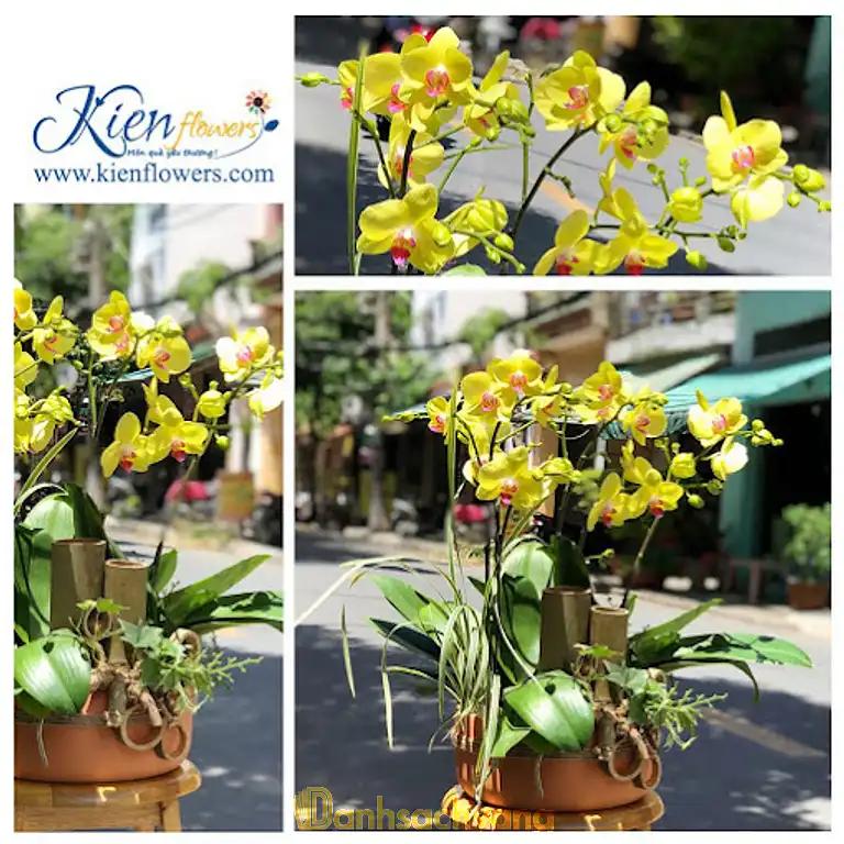 Hình ảnh hoa-tuoi-kien-flowers-4