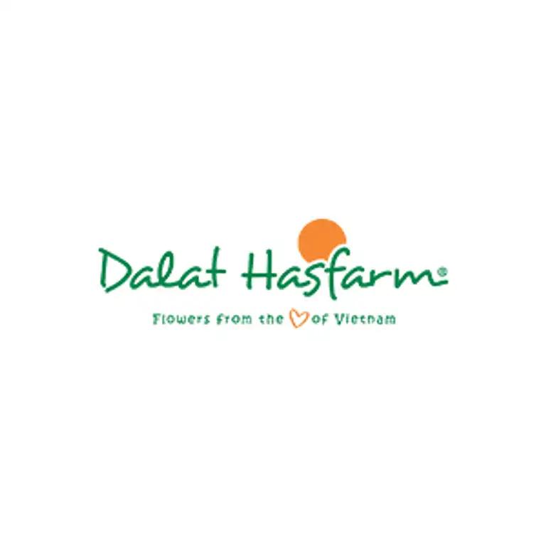 Hình ảnh dalat-hasfarm-le-dai-hanh-quan-11-tphcm-0
