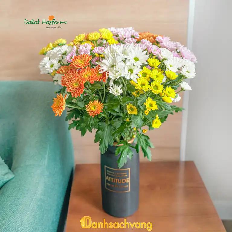 Hình ảnh dalat-hasfarm-le-dai-hanh-quan-11-tphcm-4