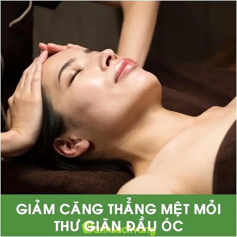 Hình ảnh hola-spa-1614-go-meo-dan-phuong-1