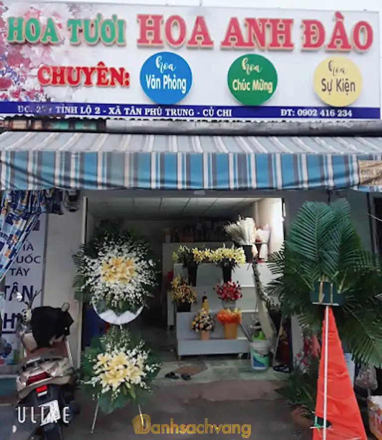 Hình ảnh hoa-tuoi-hoa-anh-dao-0
