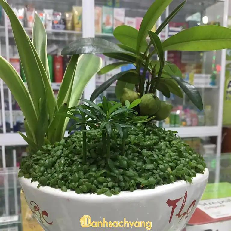 Hình ảnh nha-thuoc-tay-huynh-quy-92a-duong-so-15-quan-7-4