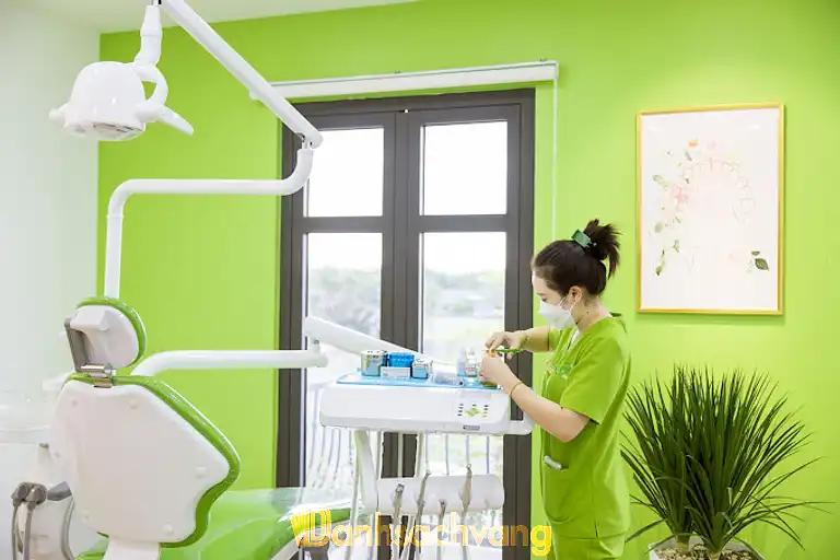 Hình ảnh Nha Khoa Thẩm Mỹ Smile: PG1 - 05 Vincom, Lê Duẩn, TP. Cà Mau