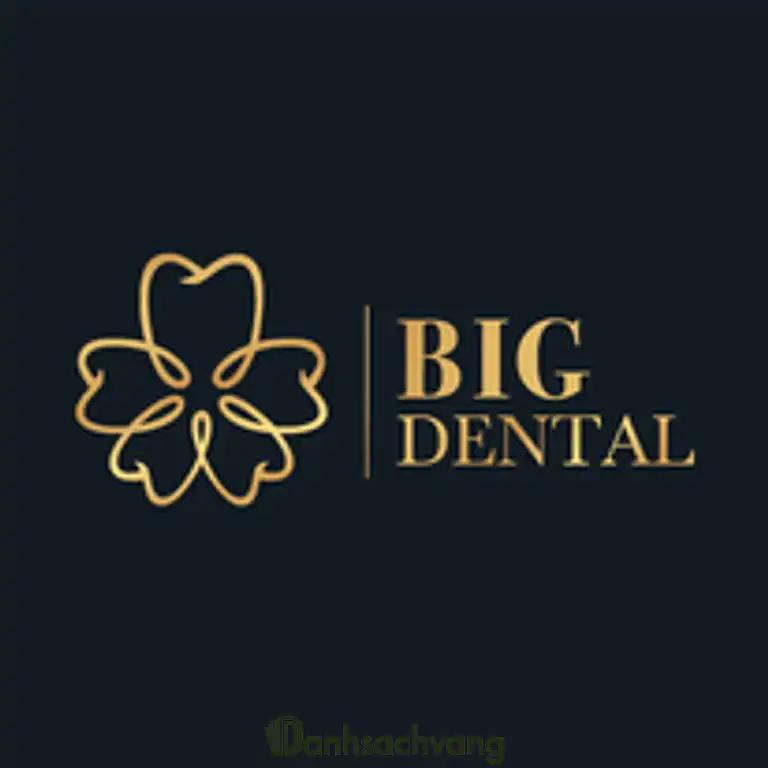 Hình ảnh Logo nha khoa chuyên sâu big dental chi nhánh tp hải phòng