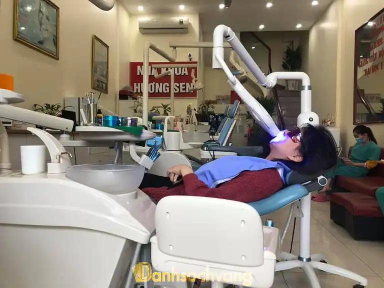 Hình ảnh Nha Khoa Hương Sen: 499 Lý Bôn, Tp Thái Bình