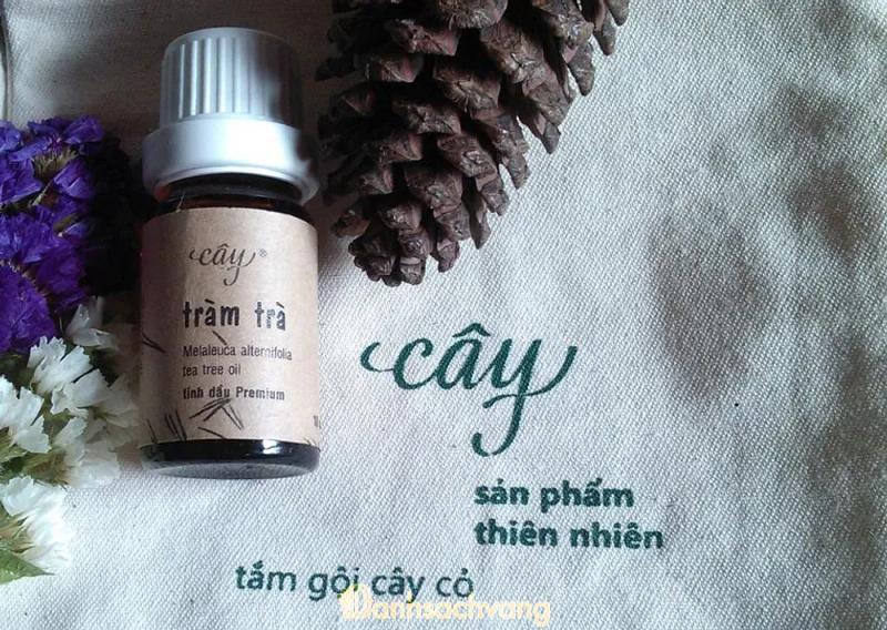 Hình ảnh Chestnut Spa: 1 Tôn Thất Thuyết, Quận 4