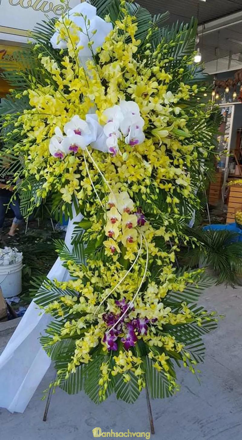 Hình ảnh Shop hoa Mai Khôi: 21 Ấp 114, H. Định Quán