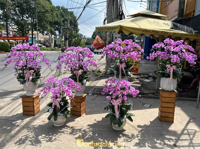Hình ảnh Shop hoa Mai Khôi: 21 Ấp 114, H. Định Quán