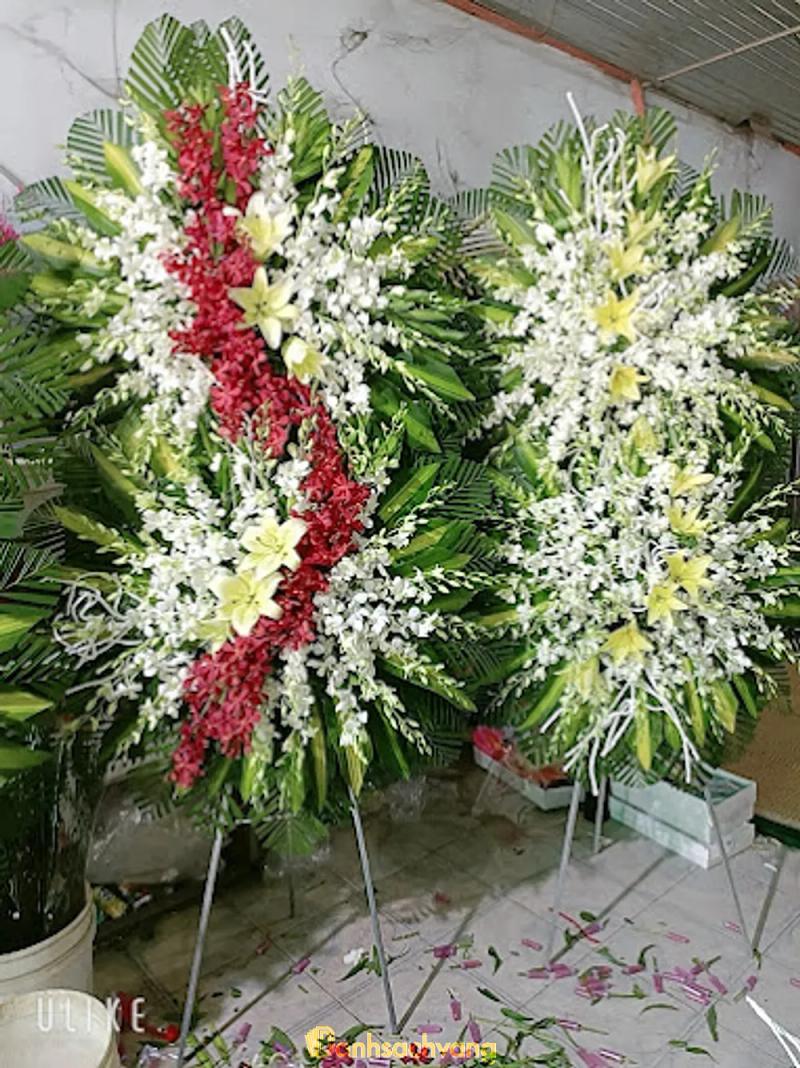 Hình ảnh Hoa Tươi Nguyễn Hường:  ĐT767, H. Trảng Bom