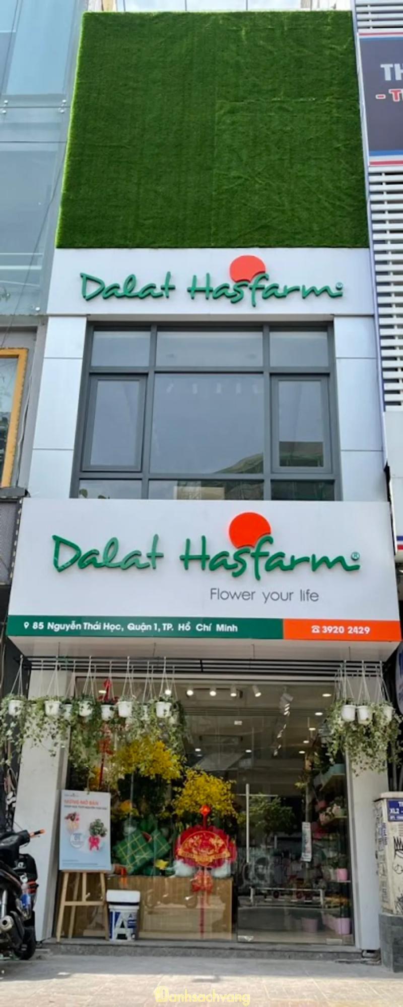 Hình ảnh dalat-hasfarm-85-nguyen-thai-hoc-quan-1-2