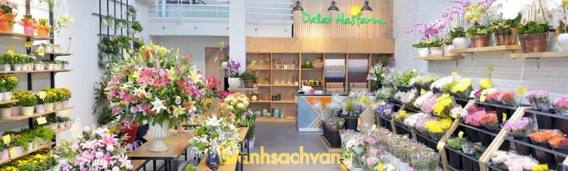 Hình ảnh dalat-hasfarm-85-nguyen-thai-hoc-quan-1-3