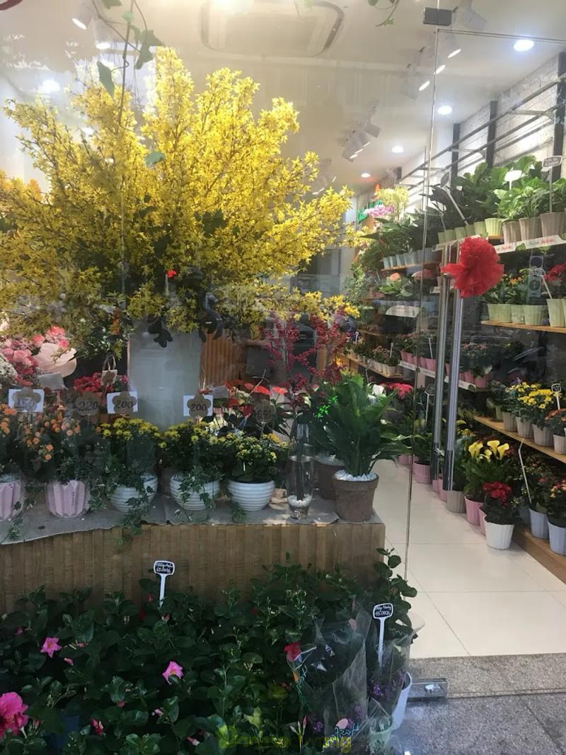 Hình ảnh dalat-hasfarm-85-nguyen-thai-hoc-quan-1-4