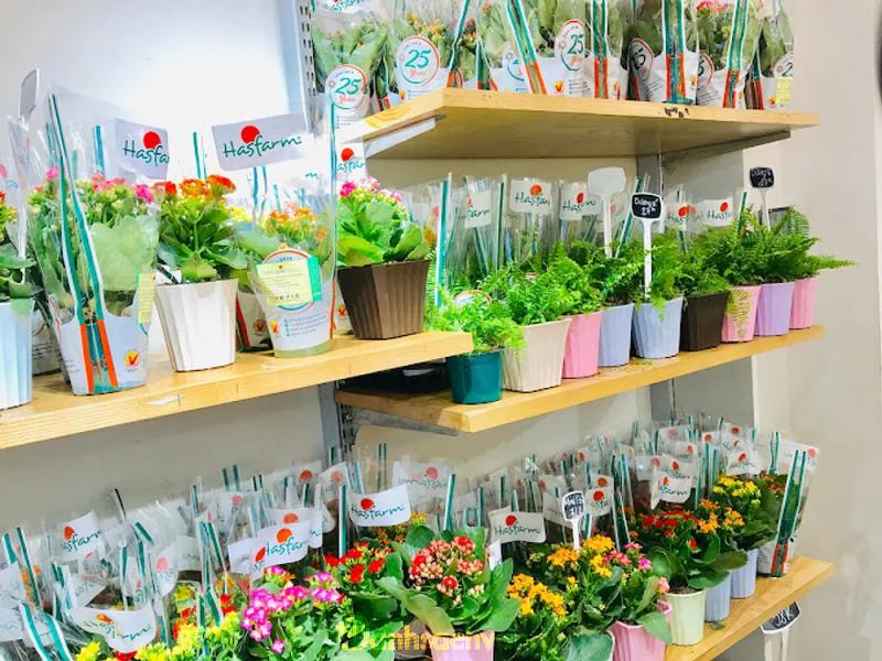 Hình ảnh dalat-hasfarm-268-nguyen-thien-thuat-quan-3-3