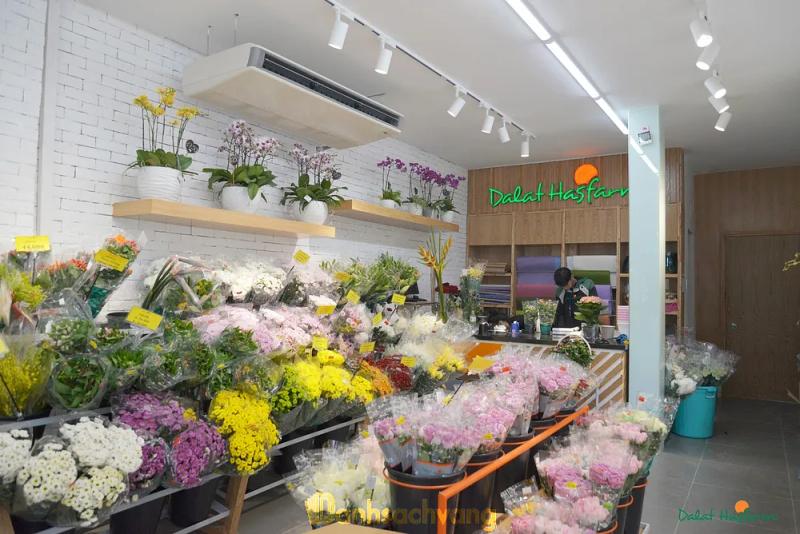 Hình ảnh dalat-hasfarm-371a-hai-ba-trung-quan-3-3