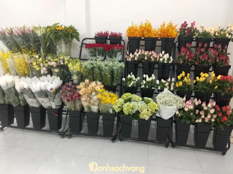 Hình ảnh hoa-minh-ngoc-461-dien-bien-phu-quan-3-5