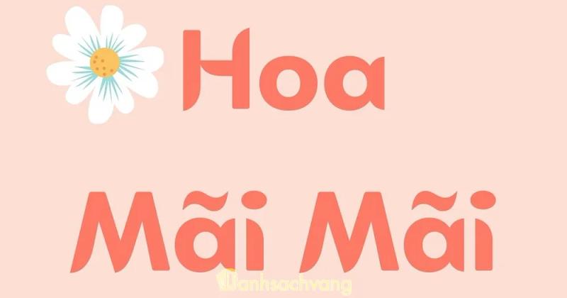 Hình ảnh hoa-mai-mai-117-nguyen-dinh-chieu-quan-3-1