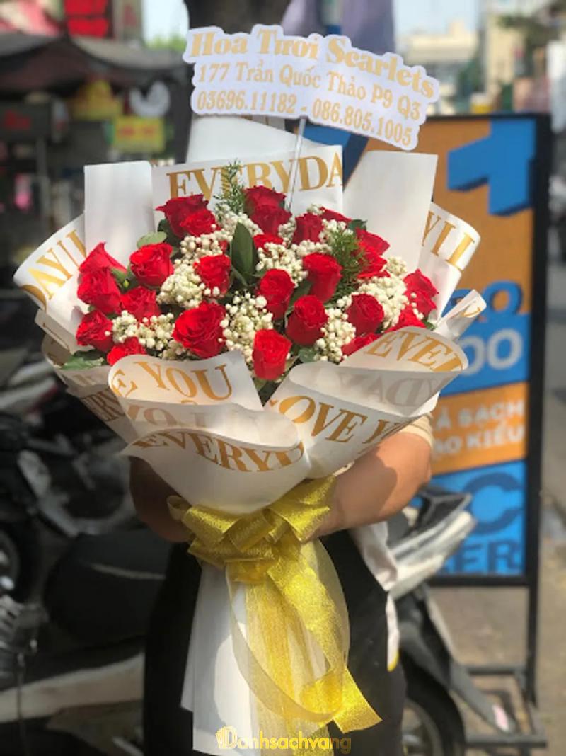 Hình ảnh scarlets-flowers-177-tran-quoc-thao-quan-3-4