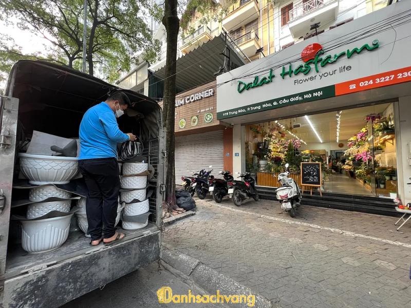 Hình ảnh Hoa Dalat Hasfarm: 19 P.Trung Hòa, Cầu Giấy, Hà Nội