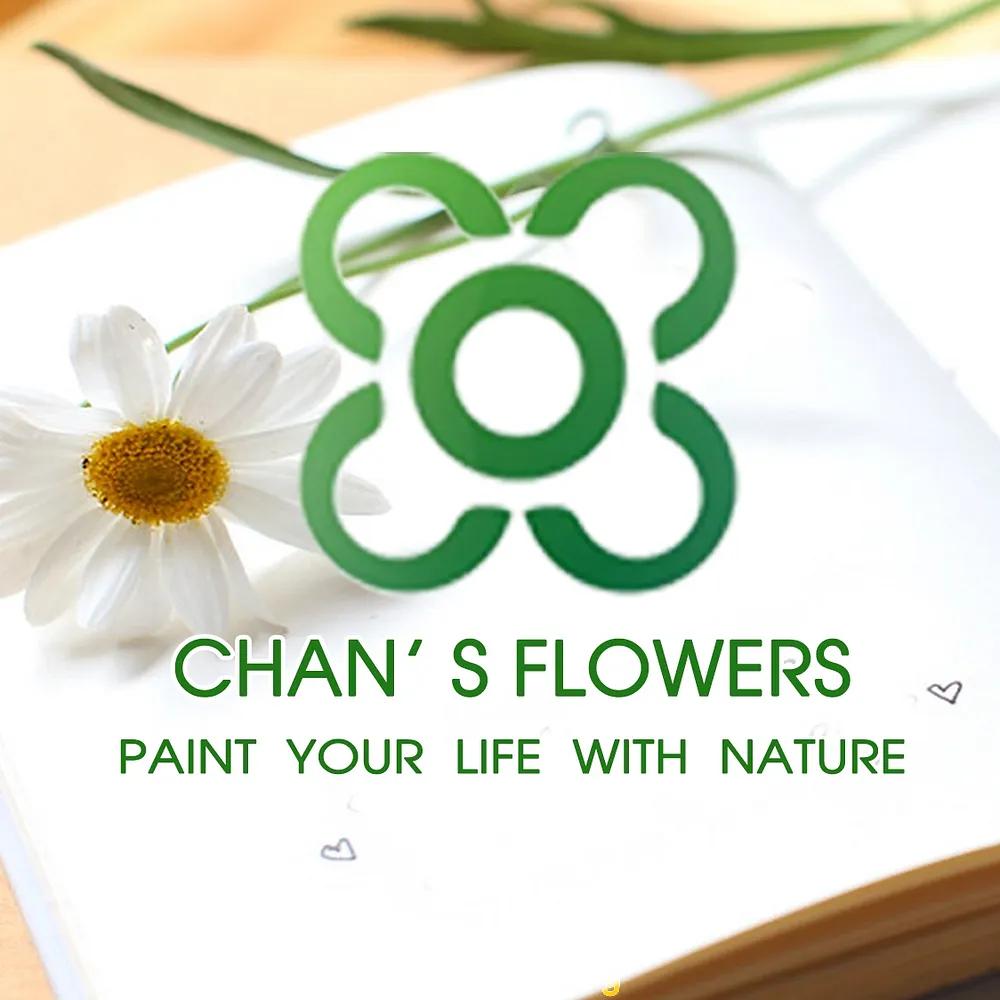 Hình ảnh Cửa Hàng Hoa Chan's Flowers: 5, 95 ngách 9, Hà Nội