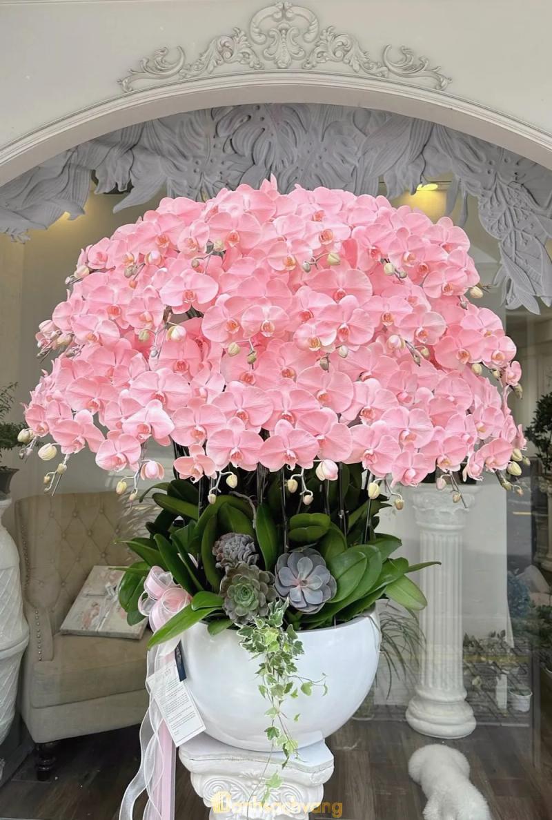 Hình ảnh muse-ert-flowers-331-tran-binh-trong-quan-5-3