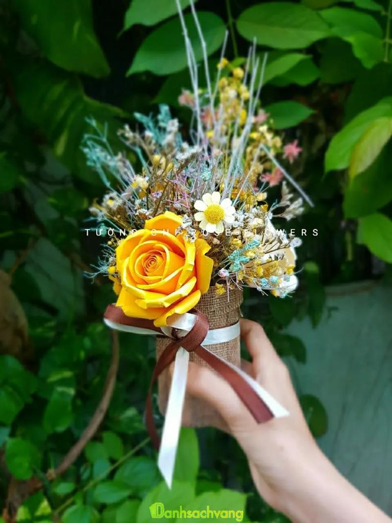 Hình ảnh tuong-chi-rose-flowers-79-bui-xuan-phai-tan-phu-5