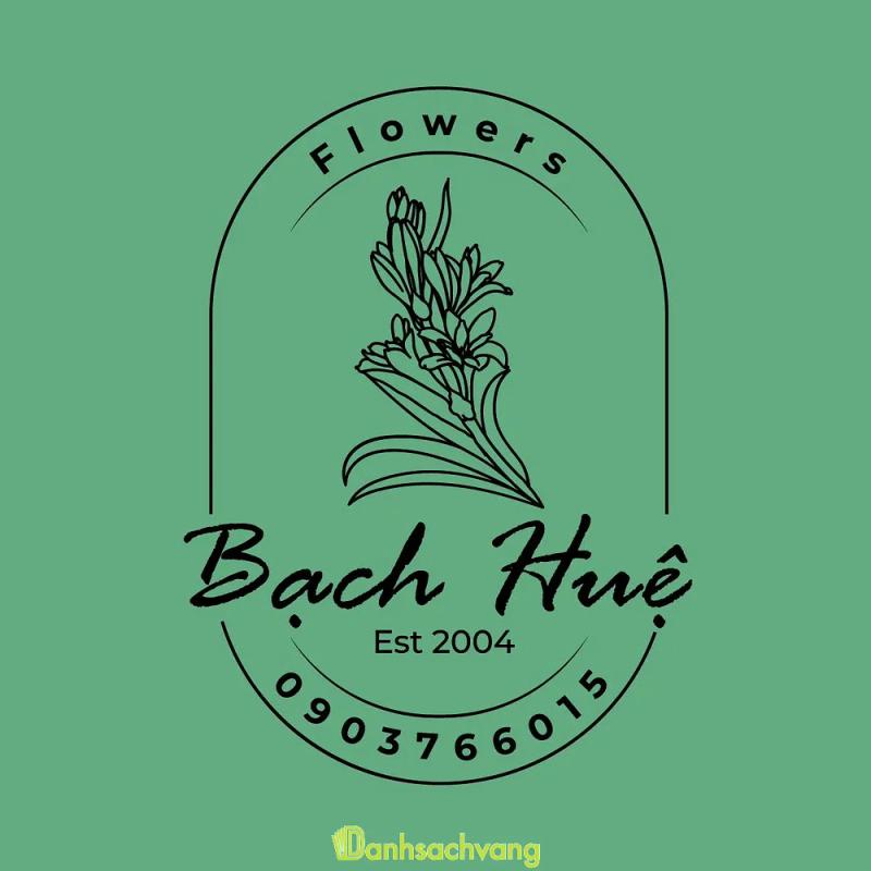 Hình ảnh bach-hue-flowers-29-doc-lap-tan-phu-1