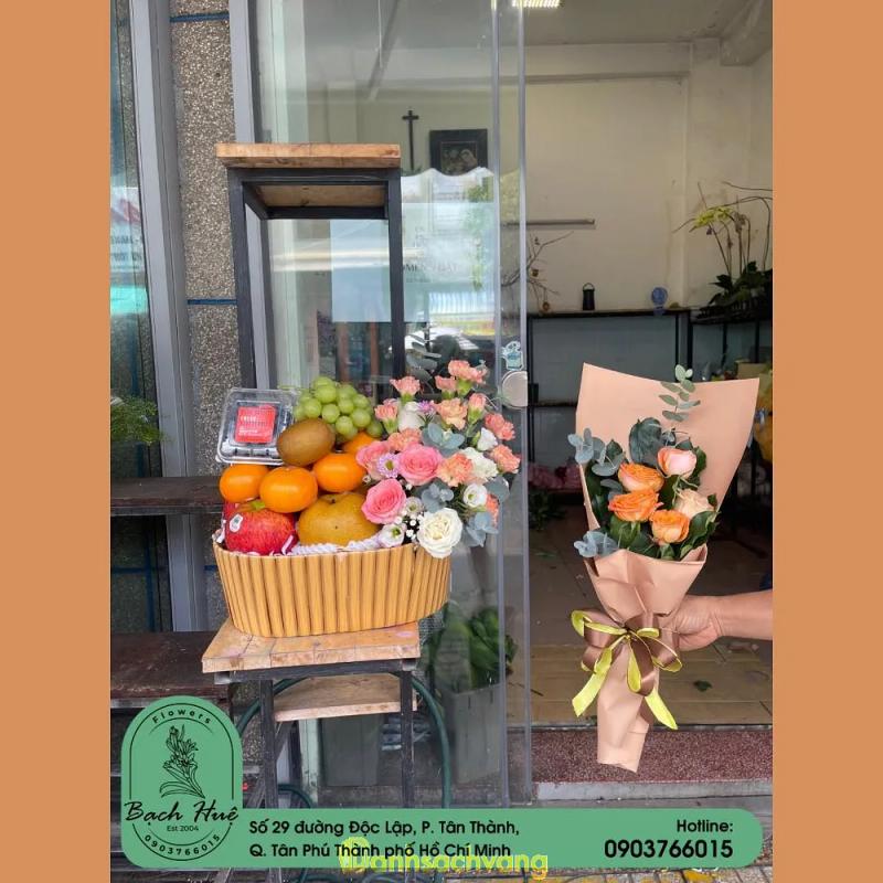 Hình ảnh bach-hue-flowers-29-doc-lap-tan-phu-2