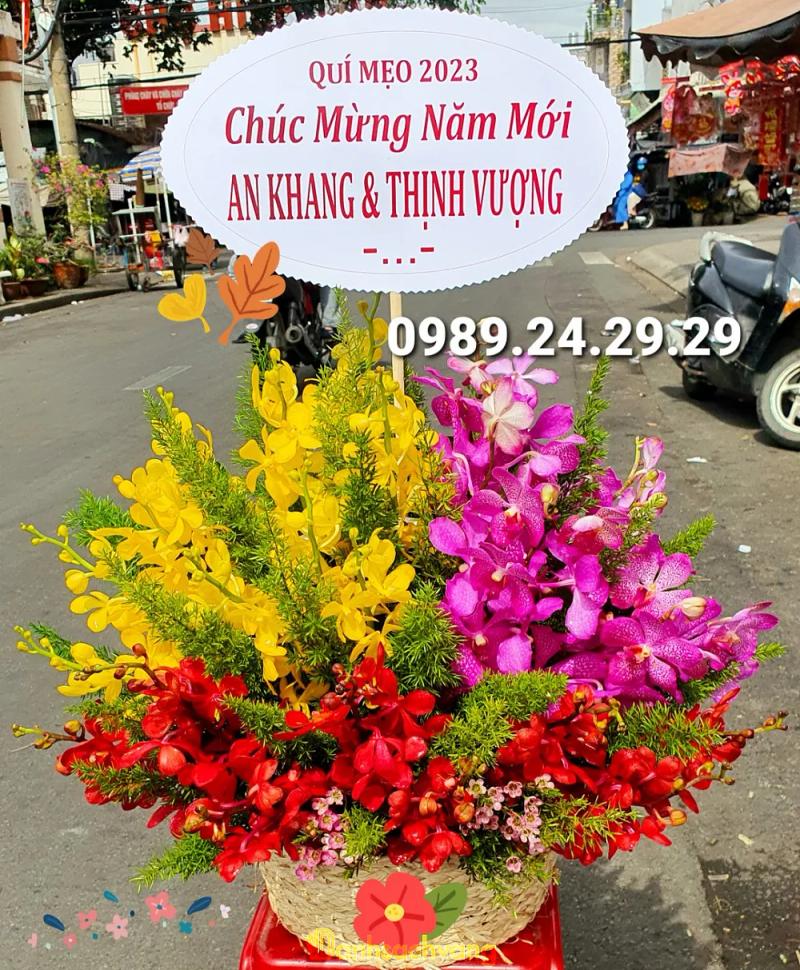 Hình ảnh hoa-nho-xinh-208-hoa-binh-tan-phu-3