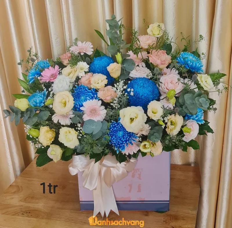 Hình ảnh hoa-tuoi-thanh-thao-449-le-van-sy-tan-binh-5