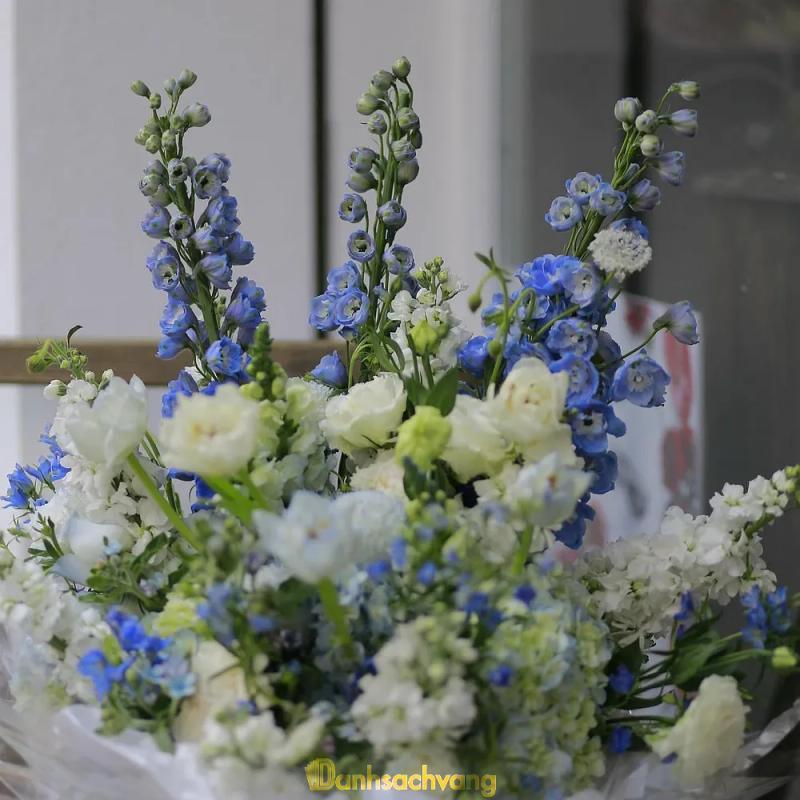 Hình ảnh xophoatanni-33812-au-co-tan-binh-3