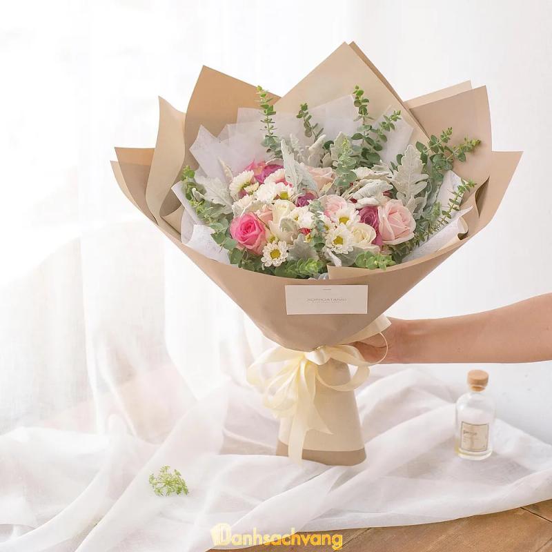 Hình ảnh xophoatanni-33812-au-co-tan-binh-2