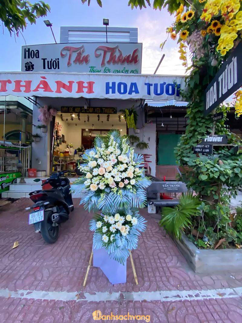 Hình ảnh Shop Hoa Tươi Tấn Thành: 346 Đ. 8/4, H. Hàm Thuận Bắc