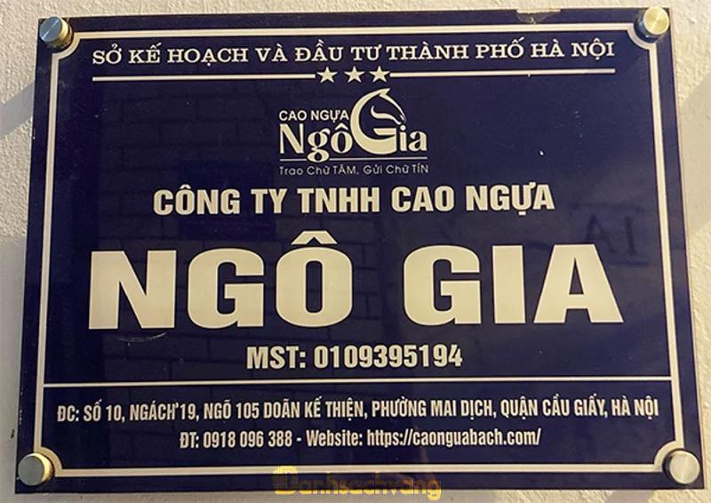 Hình ảnh Cao ngựa Ngô Gia: 10 ngách 19 ngõ 105 Doãn Kế Thiện, Cầu Giấy, HN